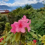 La Casa Delle Camelie Casa vacanze