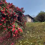 La Casa Delle Camelie Casa vacanze