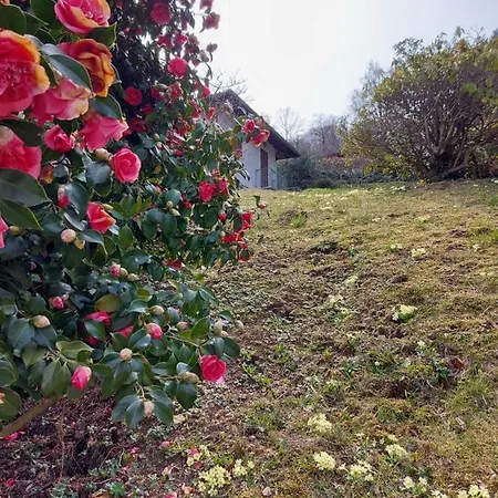 La Casa Delle Camelie ストレーザ