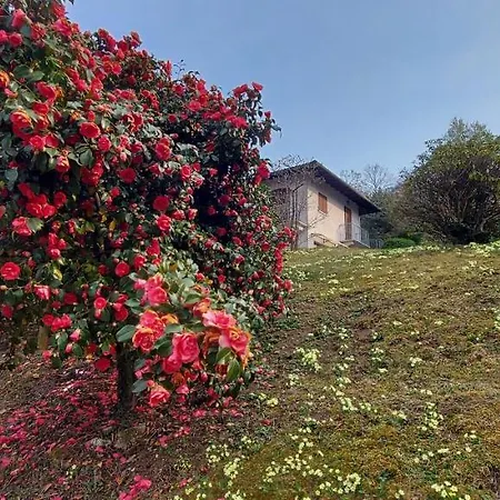 La Casa Delle Camelie Dom wakacyjny