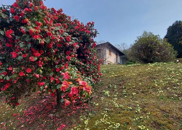 La Casa Delle Camelie Дом отдыха