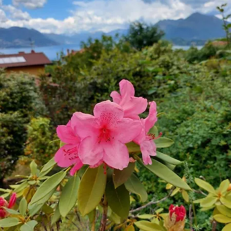 La Casa Delle Camelie Nyaraló