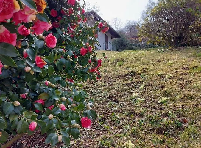 La Casa Delle Camelie סטרסה